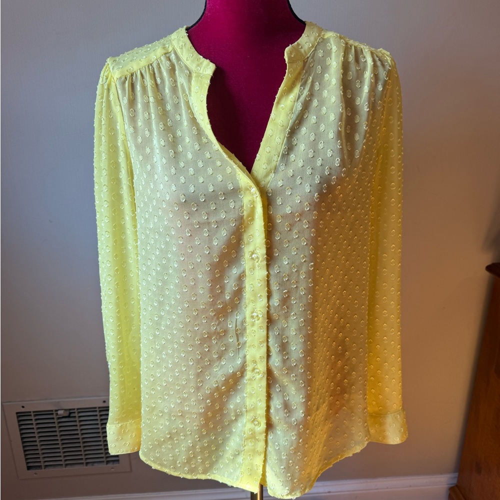 BanaWomen's Top